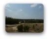 grand prairie