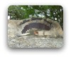 dripping springs ranch