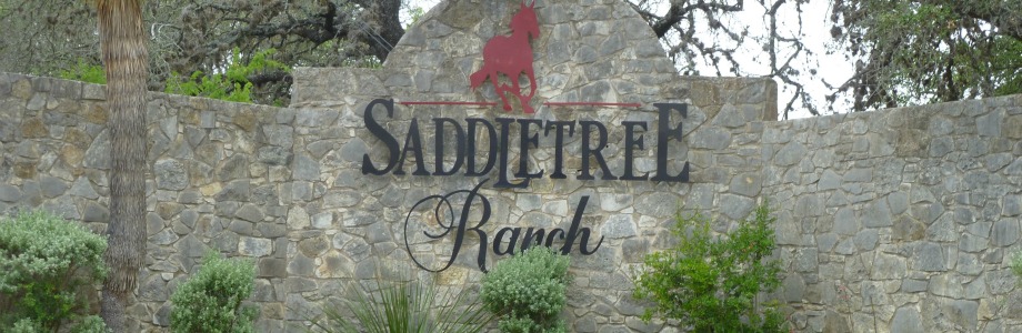saddletree ranch dripping springs